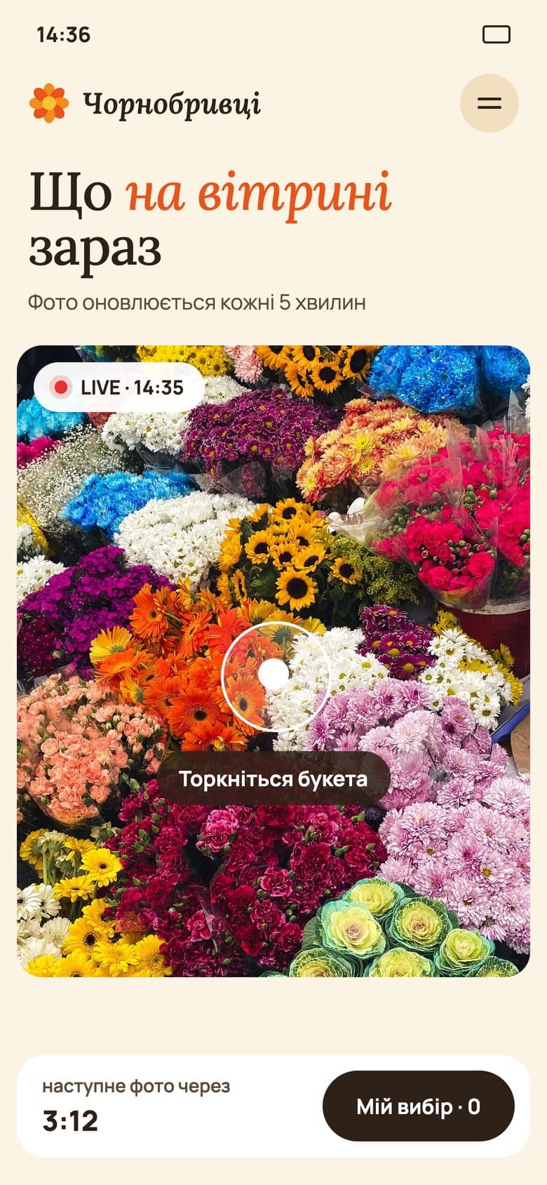 Live Window on a phone