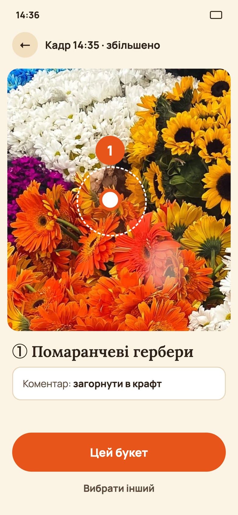 A pin on a zoomed-in part of the photo