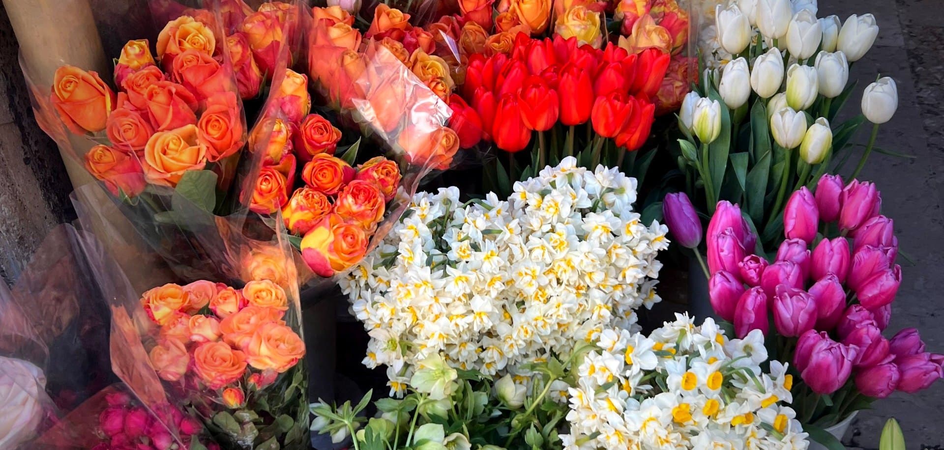Flower shop window