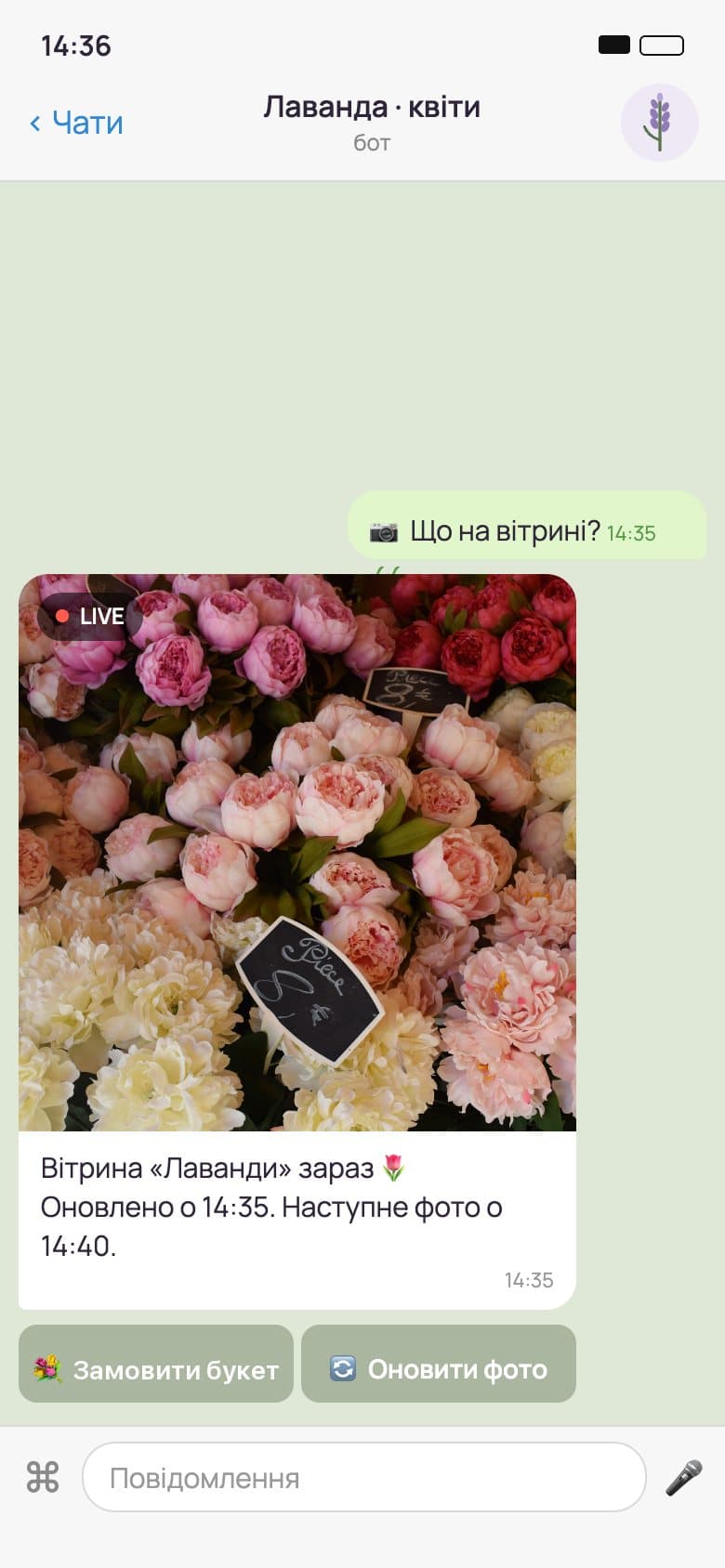 Live window photo in the bot