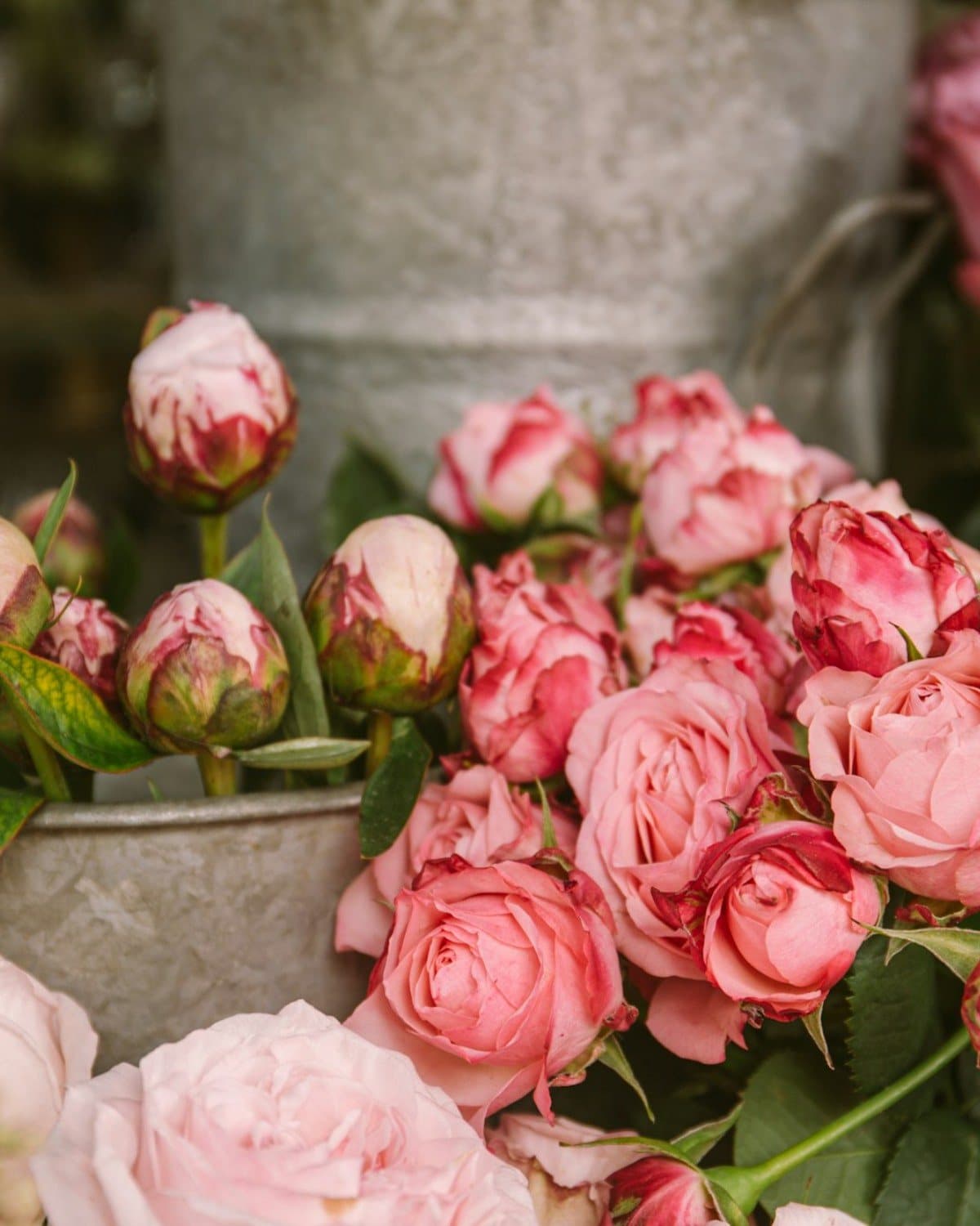 Flower shop window from inside