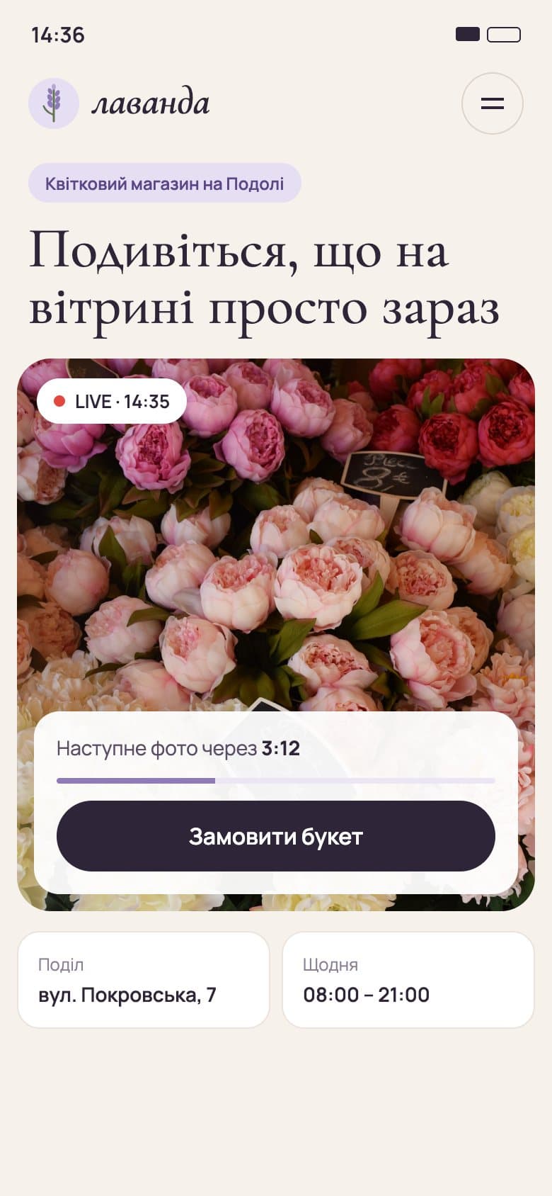 Mobile Live Window widget